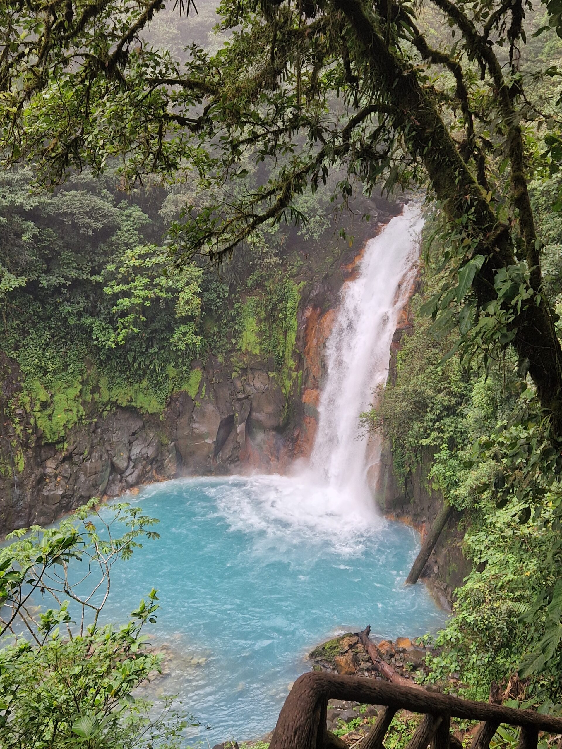 Cascade au costa rica entourée de végétation tropicale