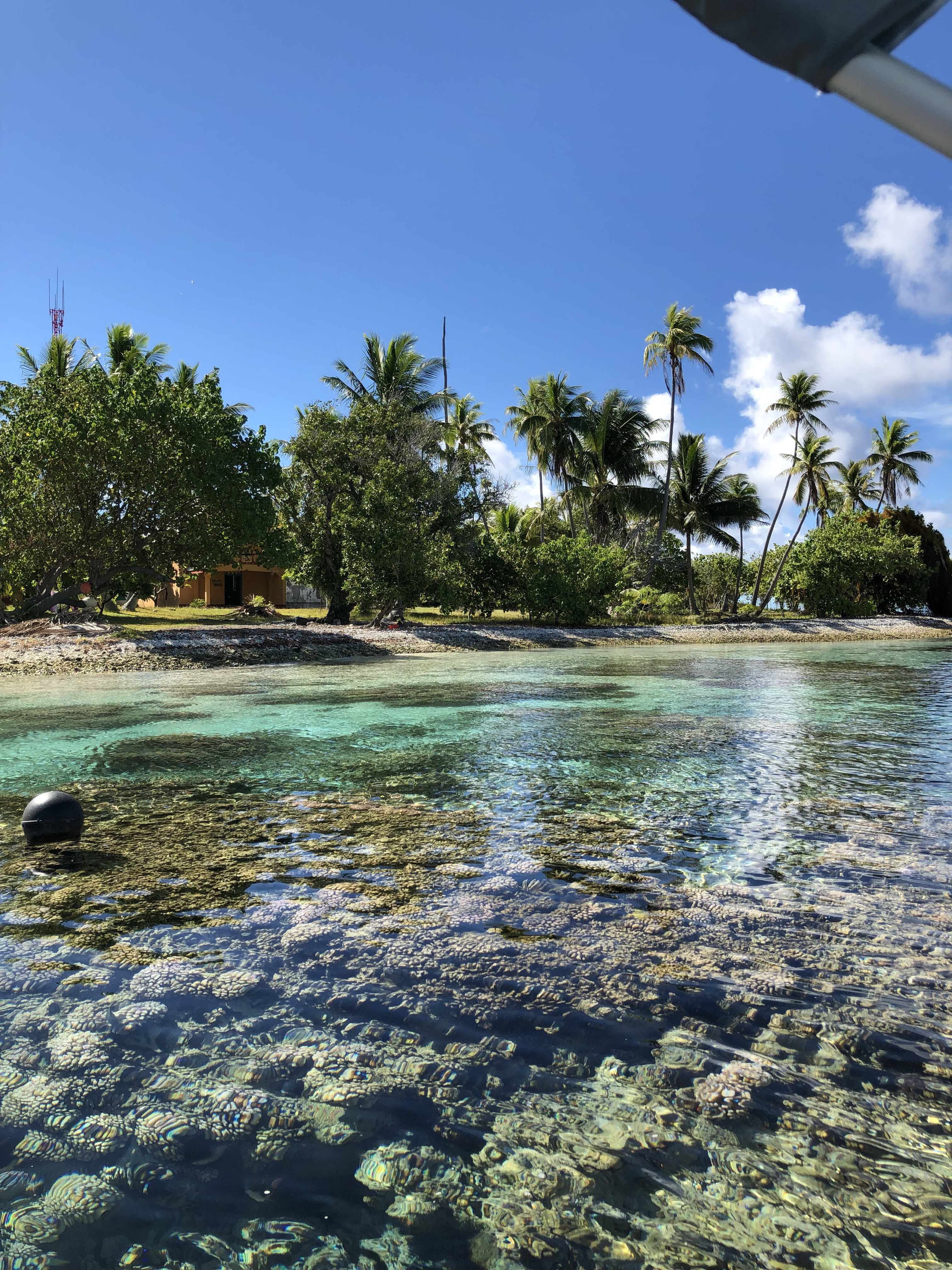 Plage tropicale avec eau turquoise et palmiers sous un ciel bleu